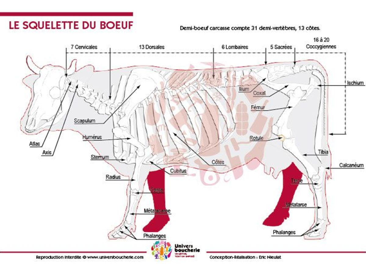 Le squellette d'une vache Quand l’amour sent le foin et le bonheur a des bottes en caoutchouc.