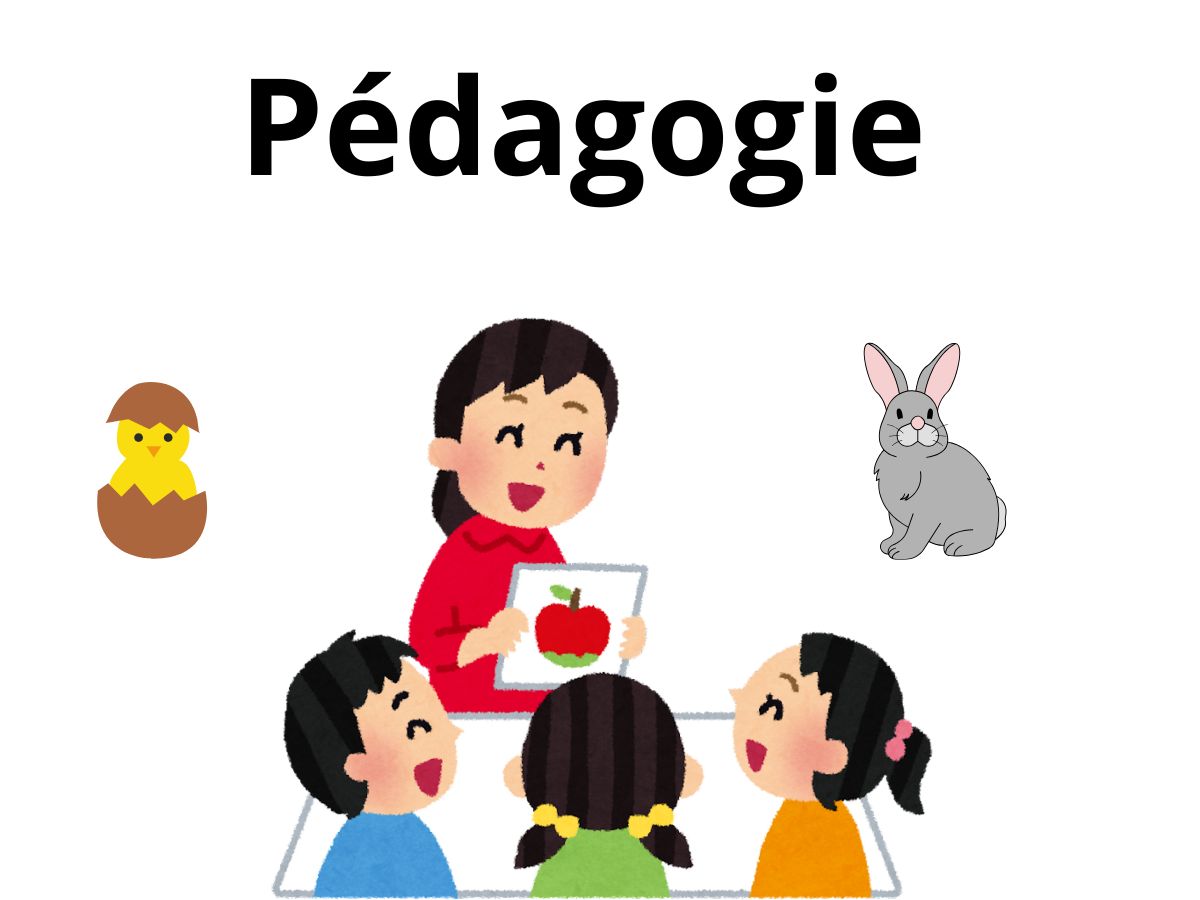 Pédagogie