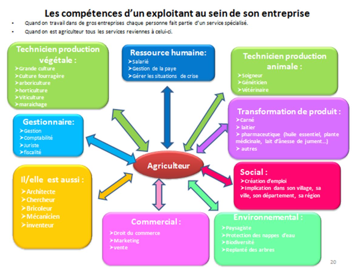 schéma d'un agriculteur ou agricultrice